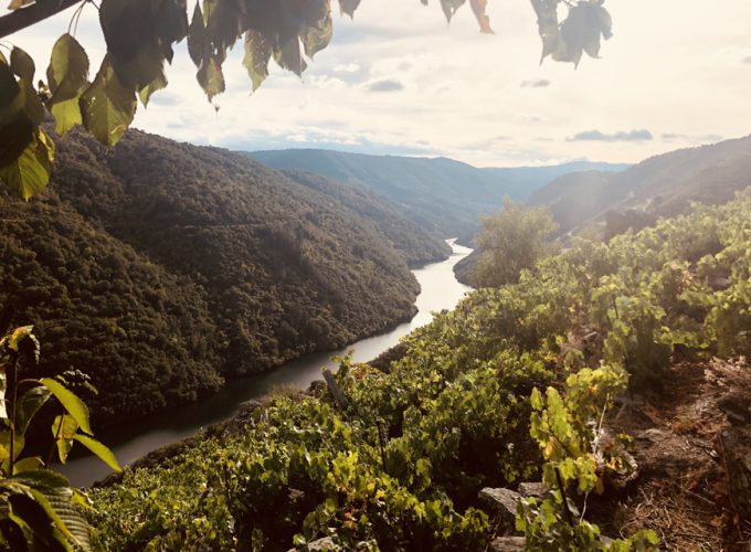 Experiencias, excursiones organizadas, viajes, rutas visitas guiadas, excursiones y actividades por la Ribeira Sacra.