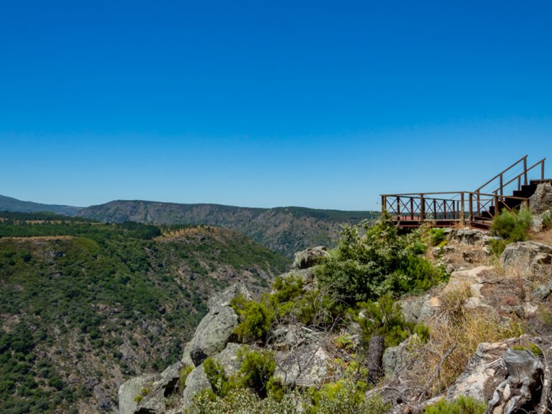 Experiencias, excursiones organizadas, viajes, rutas visitas guiadas, excursiones y actividades por la Ribeira Sacra.