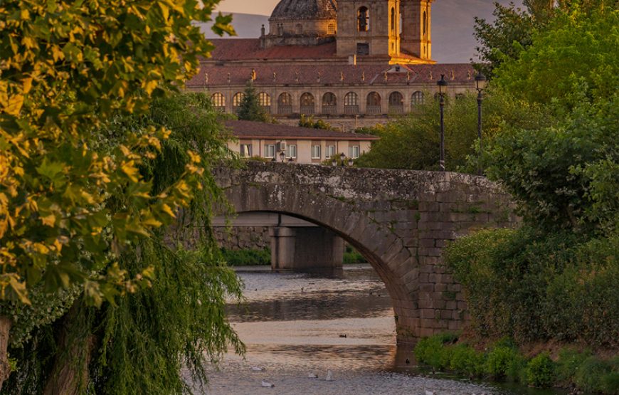 Visita guiada Monforte de Lemos