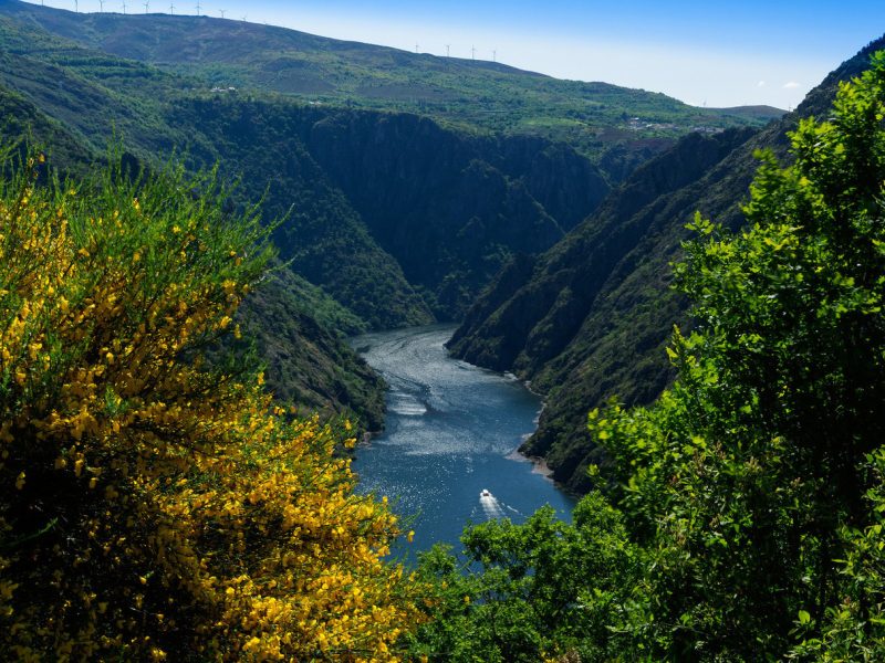 Experiencias, excursiones organizadas, viajes, rutas visitas guiadas, excursiones y actividades por la Ribeira Sacra.