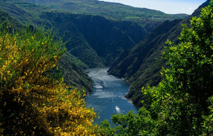 Ruta Ribeiras de Miño