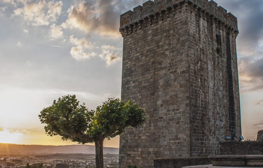 Visita guiada Monforte de Lemos