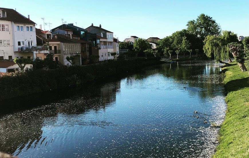 Visita guiada Monforte de Lemos