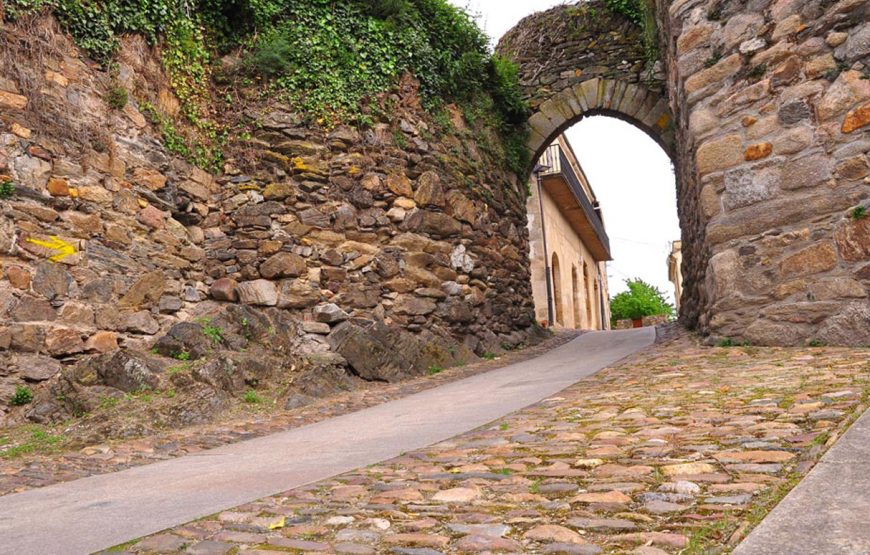 Visita guiada Monforte de Lemos