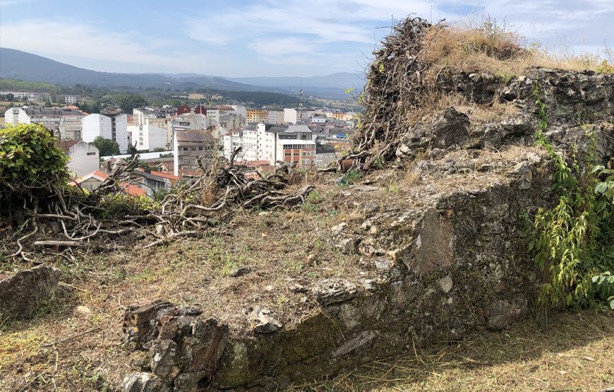 Visita guiada Monforte de Lemos